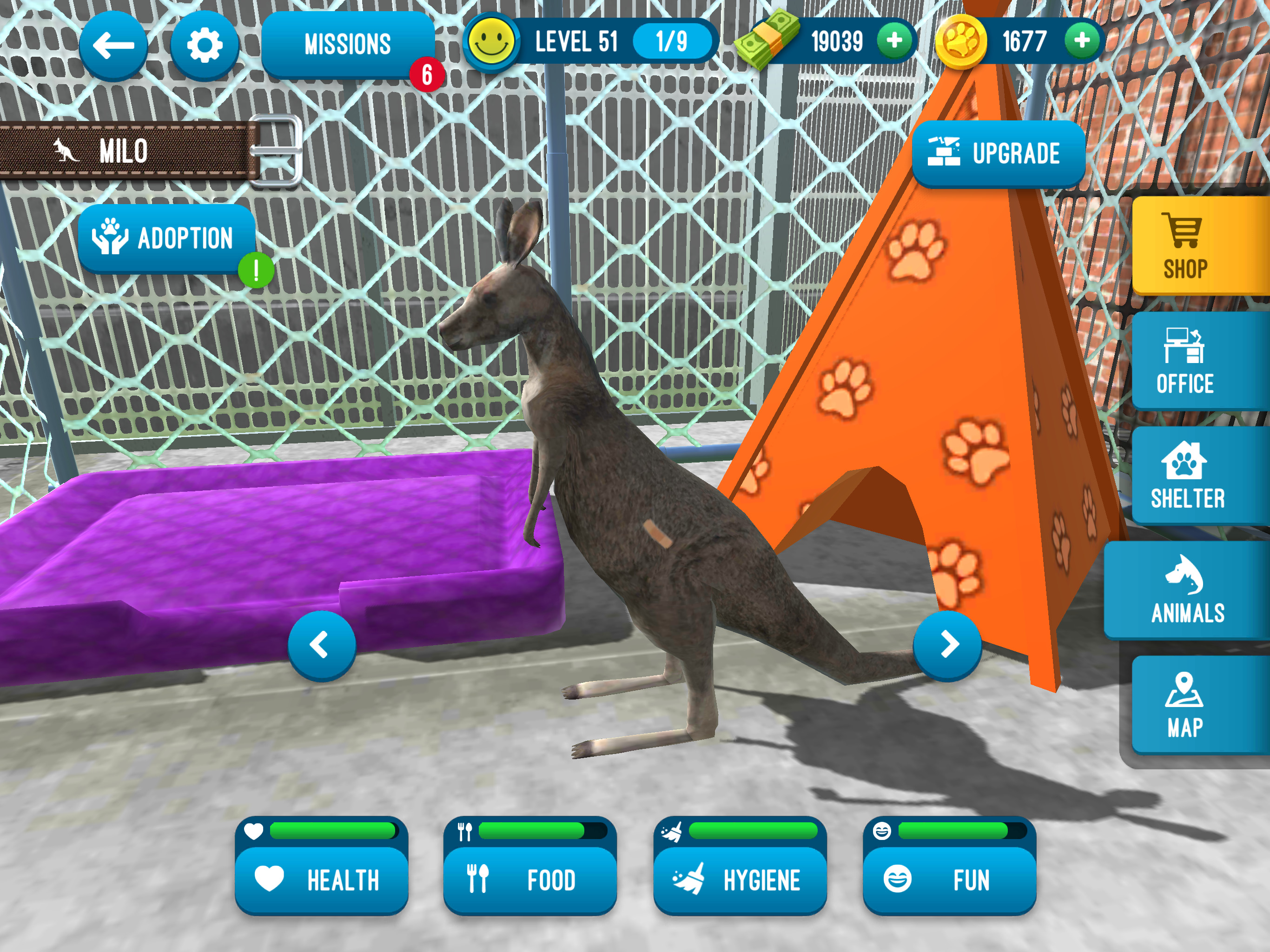 Animal Update